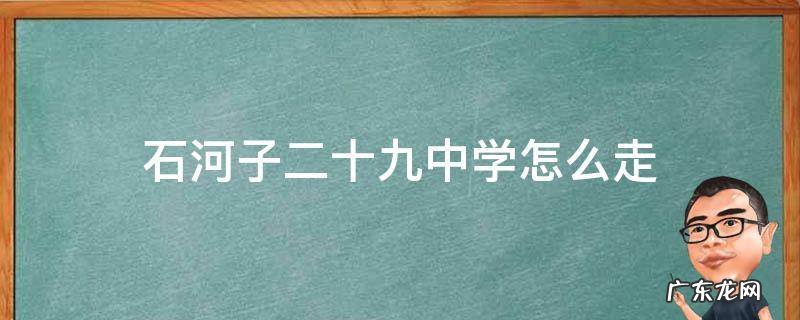 石河子十九中在哪 石河子二十九中学怎么走