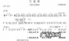 兰花草歌词是什么意思 兰花草歌词