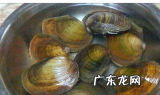 河蚌肉能喂鳝鱼吗 河蚌肉可以喂鱼吗