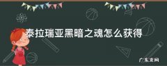 泰拉瑞亚黑暗之魂怎么获得1.4 泰拉瑞亚黑暗之魂怎么获得