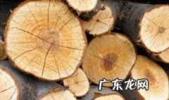 竹子木材该如何防虫防腐 竹木怎样防霉防虫