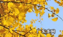 2020立秋是几月几日星期几 2020立秋是几月几日日