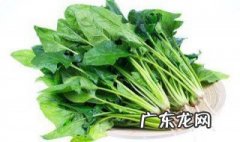 菠菜不能和什么东西同食