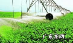 世界土地日是几月几日 世界土地日几月几日至几日