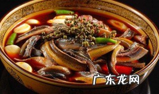 黄鳝鱼怎么清理内脏视频 黄鳝鱼怎么清理