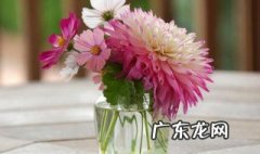 鲜花需要每天换水吗 鲜花需要每天换水吗怎么觉得花朵百合的花朵不太水灵呢