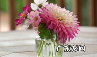 鲜花需要每天换水吗 鲜花需要每天换水吗怎么觉得花朵百合的花朵不太水灵呢