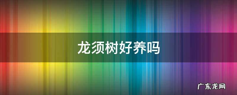 龙须树好养吗 龙须树好养吗可以晒太阳吗