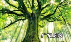 有关芒种的手抄报内容 芒种主题手抄报内容,芒种手抄报的字