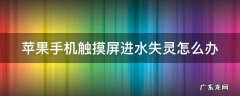 苹果手机触摸屏进水失灵怎么办 苹果手机触摸屏进水失灵怎么办解决