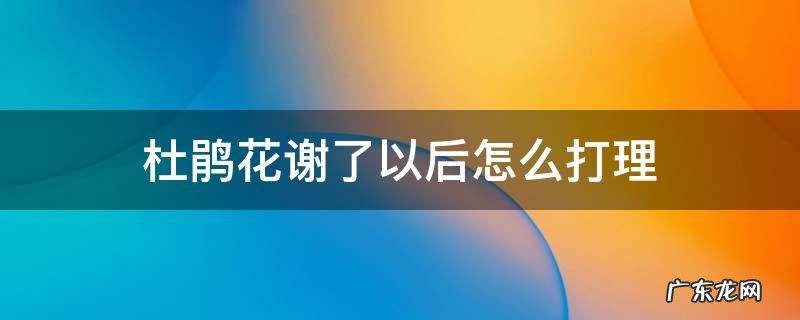 杜鹃花谢了怎么处理 杜鹃花谢了以后怎么打理