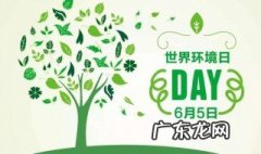 2020年是第几个世界环境日主题 2020年是世界第几个环境日