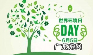 2020年是第几个世界环境日主题 2020年是世界第几个环境日
