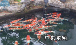 芒种节气特点介绍 芒种的节气特点