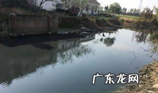 池塘水发黑快速处理方法 水质变黑怎么处理方法