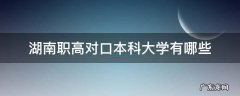 湖南职高对口本科大学排名 湖南职高对口本科大学有哪些