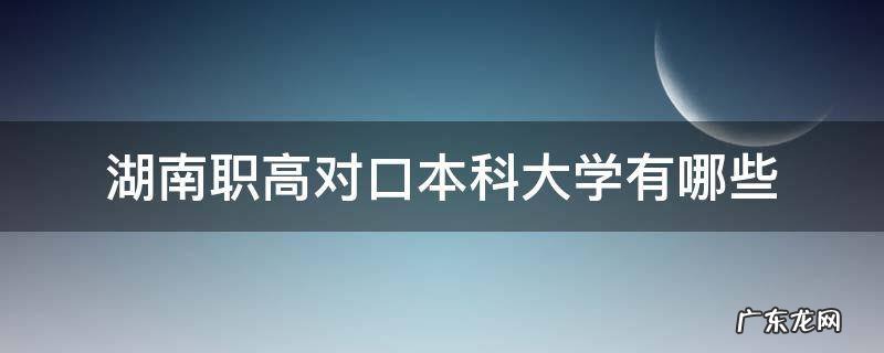 湖南职高对口本科大学排名 湖南职高对口本科大学有哪些