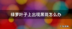绿萝叶子全是黑斑怎么办 绿萝叶子上出现黑斑怎么办