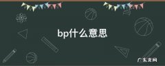 bp什么意思 财务bp什么意思