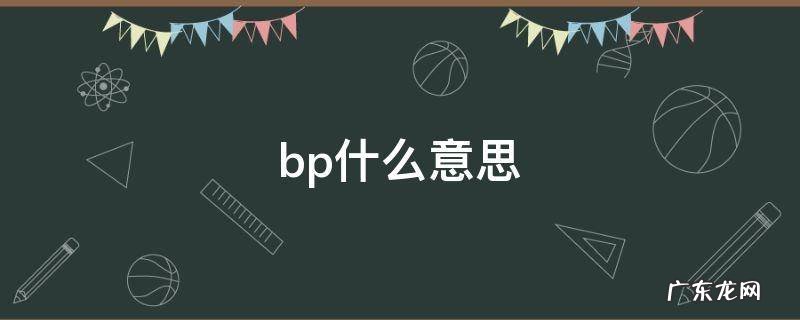 bp什么意思 财务bp什么意思