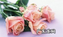 母亲节送什么礼物给妈妈比较好一点 母亲节送什么礼物给妈妈比较好