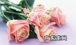 母亲节送什么礼物给妈妈比较好一点 母亲节送什么礼物给妈妈比较好
