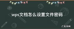 wps文档怎么设置文件密码 Wps文件怎么设置密码