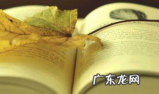 维克多雨果的长篇小说有哪些? 维克多雨果的长篇小说有哪些