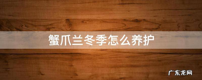 蟹爪兰过冬怎么养护 蟹爪兰冬季怎么养护