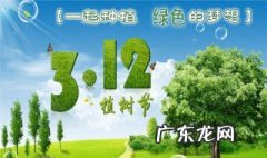 植树节的意义是什么20字 植树节的意义是什么