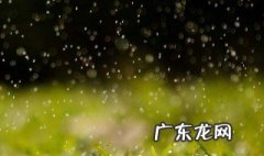 写雨的诗句 写雨的诗句古诗大全