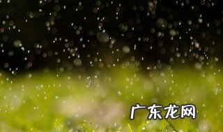 写雨的诗句 写雨的诗句古诗大全
