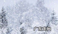 写雪的诗句 写月的诗句