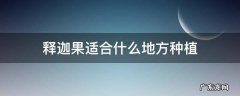 释迦果种植条件 释迦果适合什么地方种植