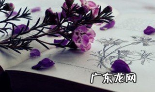 失望心凉的说说 夫妻之间失望心凉的说说