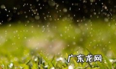 描写春雨的诗句古诗大全 描写春雨的诗句
