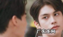 假偶天成剧情介绍 假偶天成演员表全部