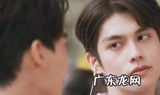 假偶天成剧情介绍 假偶天成演员表全部