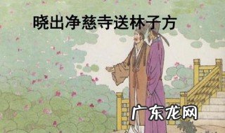 晓出净慈寺送林子方古诗意思爱上古诗 晓出净慈寺送林子方古诗意思