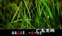 托物言志的诗 托物言志的诗和表达的志向