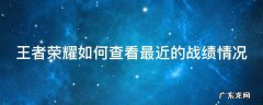 王者最近战绩在哪里看 王者荣耀如何查看最近的战绩情况