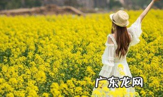 摘抄春天优美句子10字左右 摘抄春天优美句子