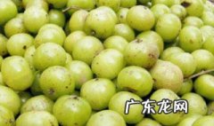 油柑子哪类人不宜吃 养肝水果第一名