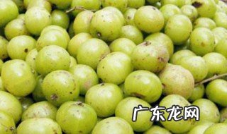 油柑子哪类人不宜吃 养肝水果第一名