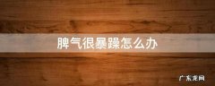 脾气很暴躁怎么办 7岁儿子脾气很暴躁怎么办