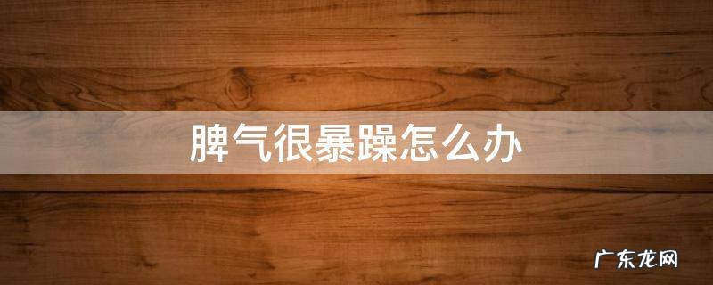 脾气很暴躁怎么办 7岁儿子脾气很暴躁怎么办
