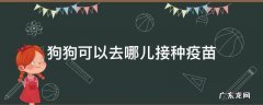 狗狗可以去哪儿接种疫苗 狗狗要去哪里打疫苗