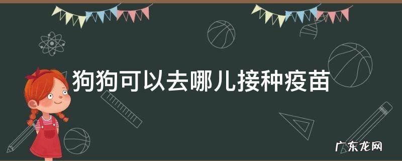 狗狗可以去哪儿接种疫苗 狗狗要去哪里打疫苗