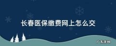 长春市城乡居民医保网上怎么缴费 长春医保缴费网上怎么交