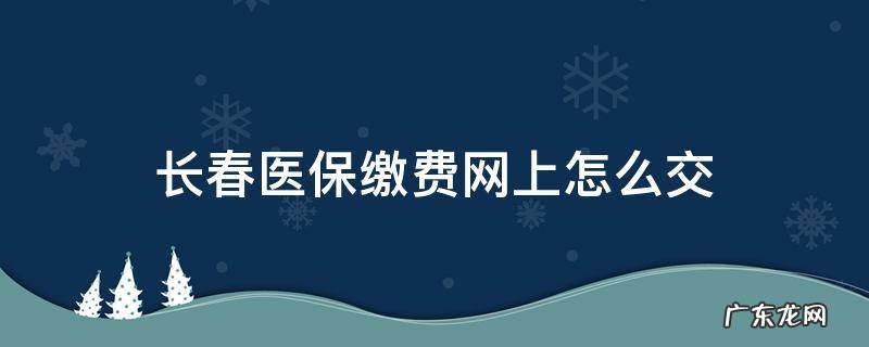 长春市城乡居民医保网上怎么缴费 长春医保缴费网上怎么交